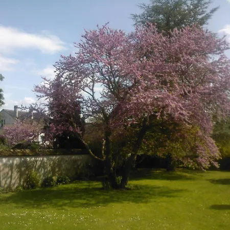 Les Reves De Flamboin Bed & Breakfast 3*